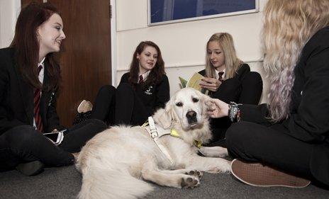 Hannah, guide dog and friends during break time