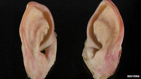 hobbit prosthetic ears