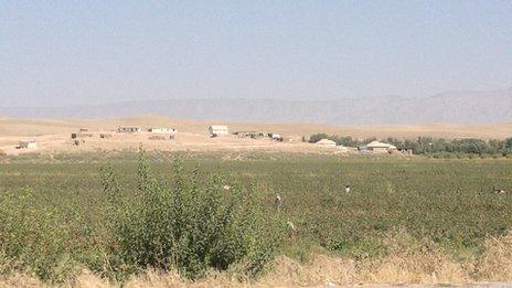 Cotton pickers in Tajikistan