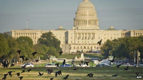 A flock of birds takes flight on the National Mall in front of the US Capitol building in Washington, DC, 14 October 2013