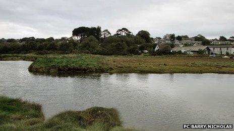 Restronguet Creek, near Devoran