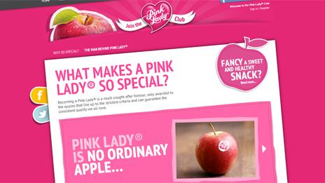 Pink Lady website