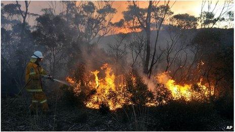 Firefighter tackles a blaze near Bell, NSW (20 Oct 2013)