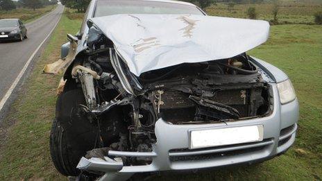 VW Touareg involved in fatal collision with pony