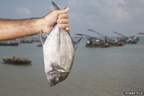 Arm holding fish