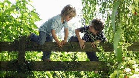 Children climbing gate