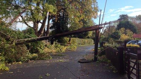 Waltham St Lawrence telegraph pole down