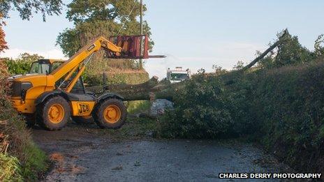 Tree blocks road at Rockbeare. Pic: Charles Derry Photography