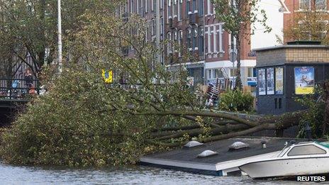 Tree on sunken houseboat, Amsterdam