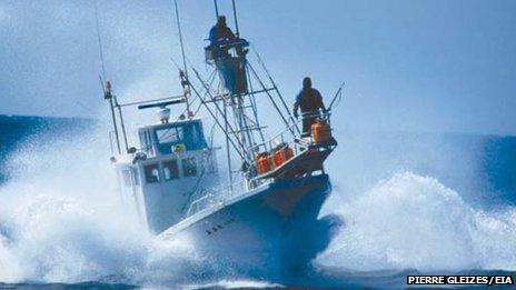 Japanese hand-harpoon hunting vessel