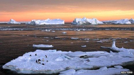 Adelie penguins on an ice floe near the French station at Dumont d’Urville in East Antarctica