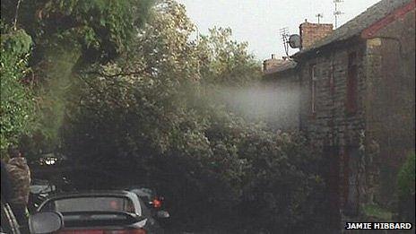 A fallen tree blocked Park Street in Bridgend