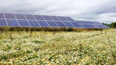 Solar farm