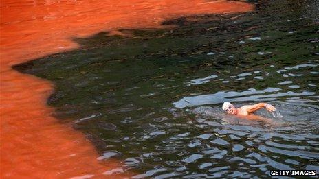 Swimmer heading towards a red algal bloom at Sydney's Clovelly Beach, 2012