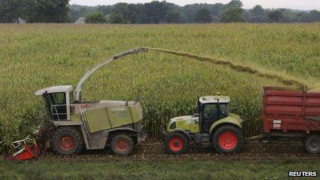 Harvest in French corn field - file pic