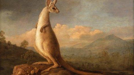 Kongouro from New Holland by George Stubbs