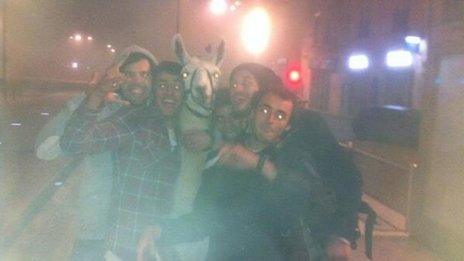 Serge the llama with the kidnappers