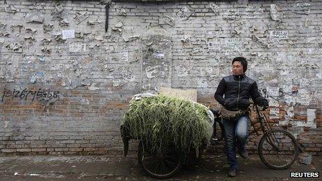 A street vendor selling stems of garlic waits for customers at a market in a half-demolished old residential site where new and luxury skyscrapers will be built in Beijing on 25 February 2013