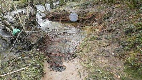 Riverside public footpath near Ponsworthy