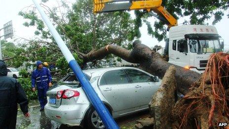 Rescuers try to to remove a car trapped under a fallen tree on Hainan island. Photo: 11 November 2013