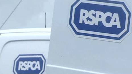 RSPCA vans