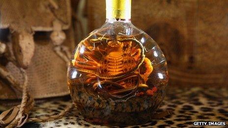 Snake in bottle of spirits