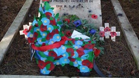 "Donkey" made of poppies
