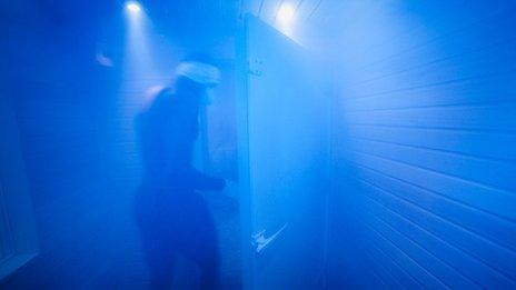 Cryotherapy chamber