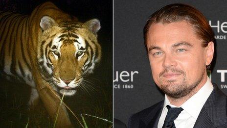 Tiger/Leonardo DiCaprio