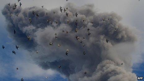 Birds fly as Sinabung volcano spews volcanic ash into the air in Karo on 24 November 2013