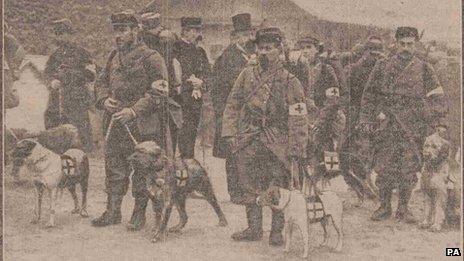 French Red Cross section with their dogs - page from the Evening Telegraph dated Monday June 14, 1915