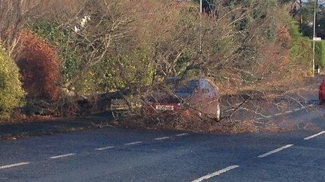 A driver had a lucky escape after a tree fell on the Ballynahinch Road out of Saintfield, County Down