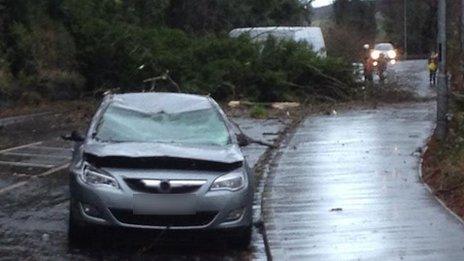 A car in Newtownabbey was damaged when a tree fell across the Antrim Road close to Belfast Zoo.