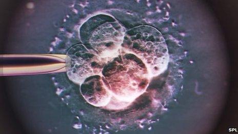 Embryos for in vitro fertilisation