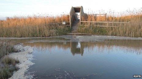 Hide entrance at Minsmere