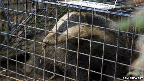 Dorset Wildlife Trust vaccination project