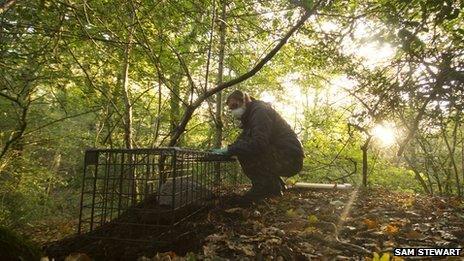 Dorset Wildlife Trust vaccination project