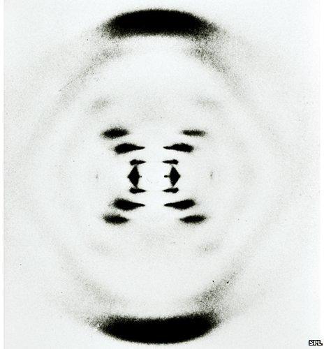 Double helix structure of DNA