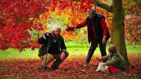 Grandparents and grandchild