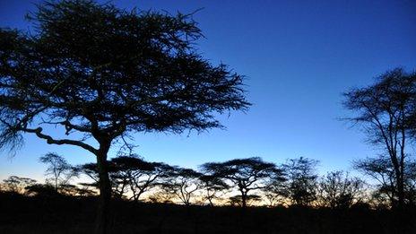 Serengeti at dusk