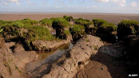 Goldcliff, near Newport in South Wales