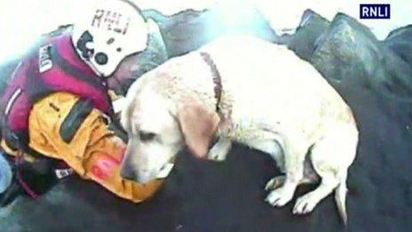 Dog being rescued by lifeboat crew