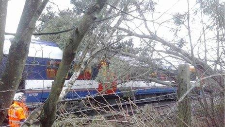 A train under a tree