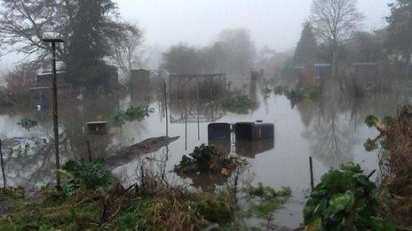 Flooded allotments in Godalming