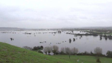 Somerset Levels