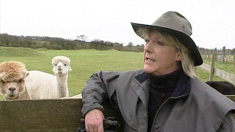 Dianne Summers and alpacas