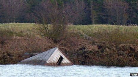 Hide at Snettisham