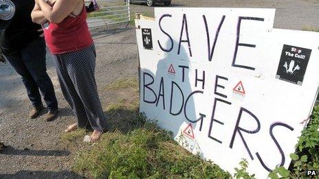 Badger cull protest