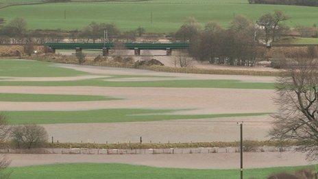 Flooded fields