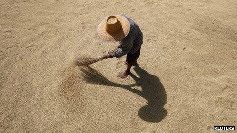 A farmer dries rice grains in Buriram province ( file image)